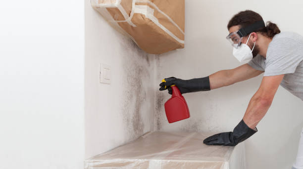 Professional Crawl Space Mold Remediation technician working in Kingston, NJ