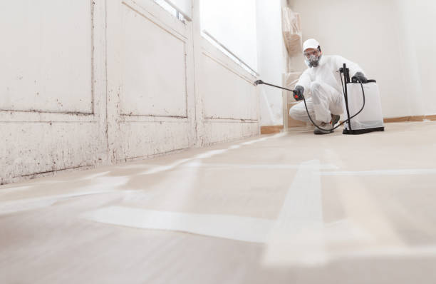 24/7 Emergency Crawl Space Mold Remediation experts in Kingston, NJ