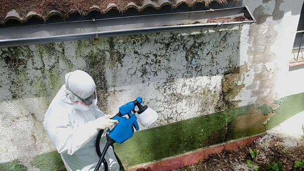 Top rated local Crawl Space Mold Remediation specialists in Kingston, NJ